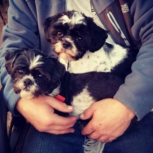 Meet your Posher, Layne